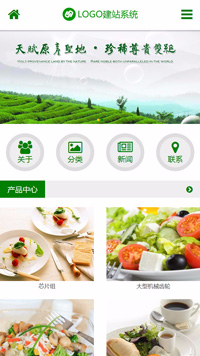 CMS020032健康食品类网站