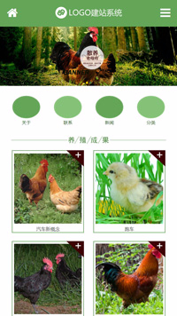 CMS001479绿色家禽养殖模板