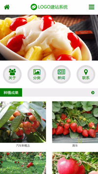 CMS001064简约型水果类网站