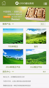 CMS001061绿色茶叶网站