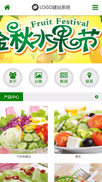 CMS001010简约绿色食品网站