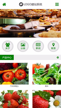 CMS001008简约绿色食品网站