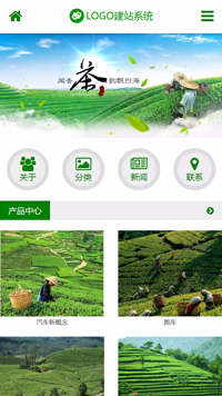 CMS001358绿色自然茶品网站